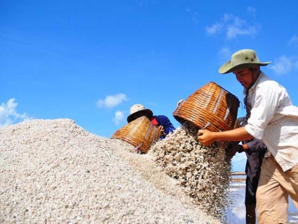 Bạc Liêu phấn đấu tăng trưởng kinh tế đạt từ 10-11%