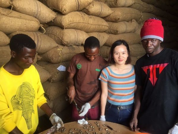 Châu Phi là thị trường tiềm năng trong hợp tác thương mại của Việt Nam Châu Phi là thị trường tiềm năng trong hợp tác thương mại của Việt Nam