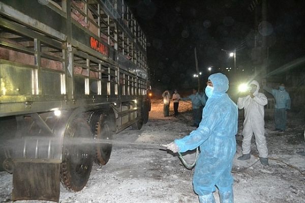 Giá thịt hôm nay 10/7: Lợn Thái Lan tăng giá, nhiều doanh nghiệp từ bỏ việc nhập khẩu