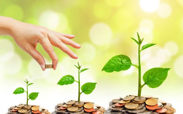 Ban hành chỉ thị tăng cường công tác quản lý nhà nước về đầu tư Ban hành chỉ thị tăng cường công tác quản lý nhà nước về đầu tư