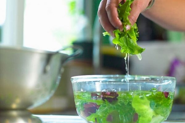 Sức khỏe: Ngâm rau sống bằng nước muối loãng không loại trừ sạch mầm bệnh