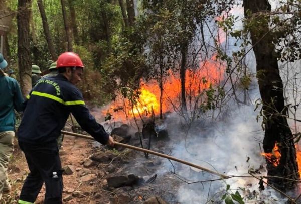Rừng thông Nghệ An bốc cháy ngùn ngụt giữa nắng nóng Rừng thông Nghệ An bốc cháy ngùn ngụt giữa nắng nóng