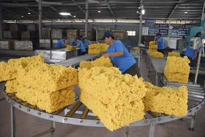 Giá cao su hôm nay 11/7: Tiếp tục xu hướng giảm