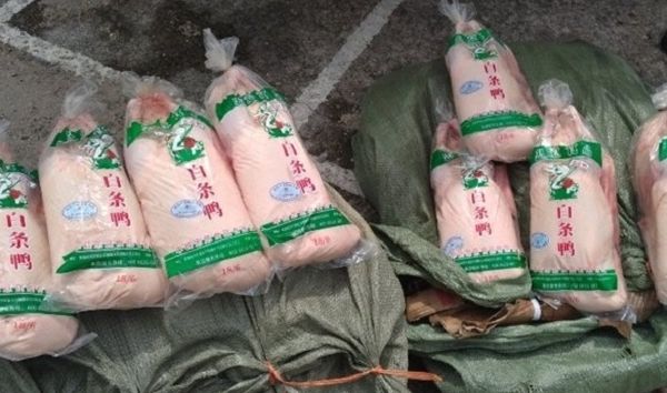 Quảng Ninh: Kiểm tra, thu giữ 600 kg thịt vịt đông lạnh nhập lậu từ Trung Quốc về Việt Nam