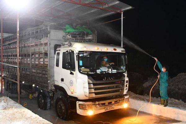 Tạo điều kiện giải quyết thủ tục hải quan nhập khẩu mặt hàng thịt lợn