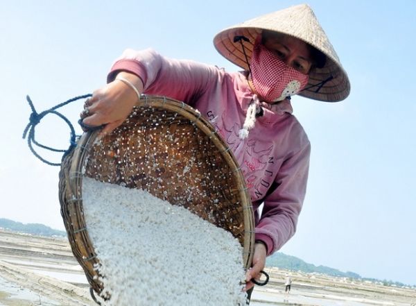 Quảng Ngãi: Trăn trở thương hiệu muối Sa Huỳnh