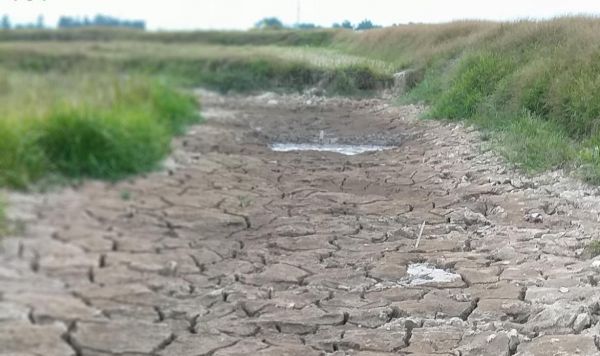 Thanh Hóa và Nghệ An đối diện đợt hạn hán kỷ lục