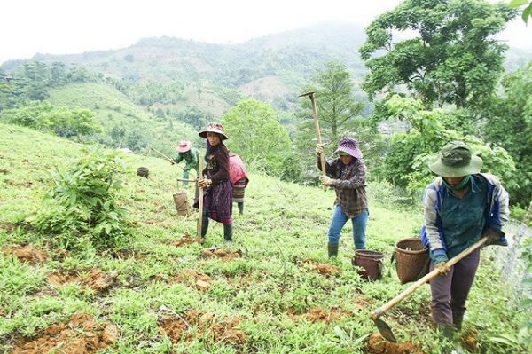 Tăng cường quyền tiếp cận sử dụng đất cho đồng bào dân tộc thiểu số
