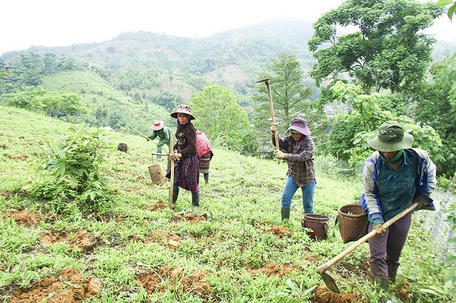 &ldquo;Tăng cường quyền tiếp cận sử dụng đất cho đồng b&agrave;o d&acirc;n tộc thiểu số&rdquo;l&agrave; dự &aacute;n do Li&ecirc;n minh ch&acirc;u &Acirc;u (EU) t&agrave;i trợ, Helvetas v&agrave; Landa/CCRD đồng chủ tr&igrave;, thực hiện trong thời gian 3 năm từ 1/6/2020 đến 31/5/2023