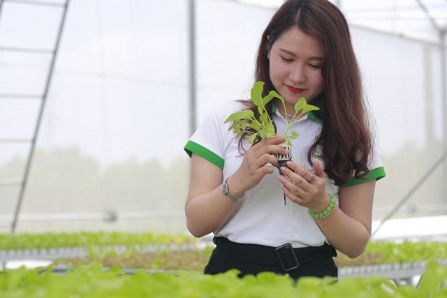 TPHCM: Th&iacute; điểm thu h&uacute;t c&aacute;n bộ trẻ về l&agrave;m việc tại c&aacute;c hợp t&aacute;c x&atilde; n&ocirc;ng nghiệp