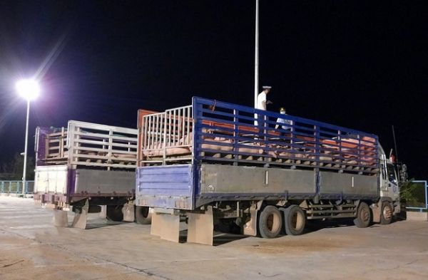 Giá thịt hôm nay 14/7: Lợn hơi Thái Lan nhập khẩu chênh rất ít với giá lợn trong nước