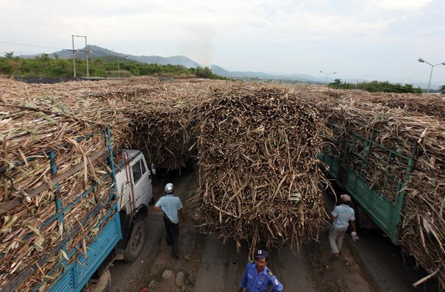 Xử l&yacute; nghi&ecirc;m c&aacute;n bộ bảo k&ecirc; nhập khẩu đường tr&aacute;i ph&eacute;p