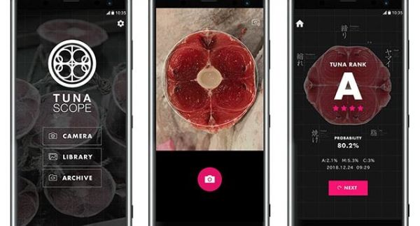 Sử dụng công nghệ trí tuệ nhân tạo kiểm định chất lượng cá ngừ