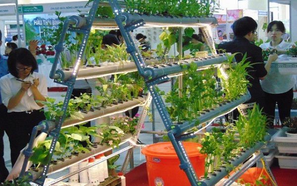 Hà Nội: Phấn đấu 100% chuỗi cung ứng nông sản thực phẩm được truy xuất nguồn gốc