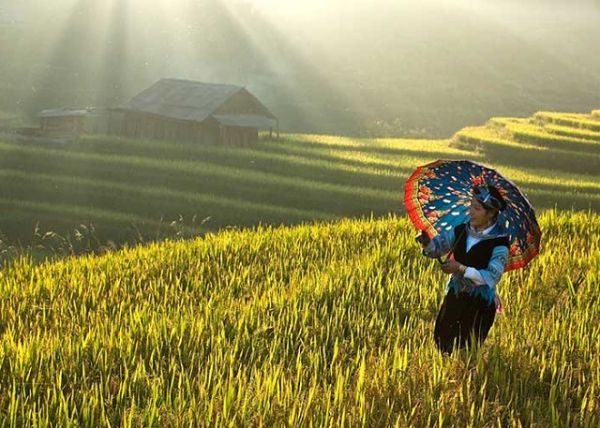 Hỗ trợ thí điểm chuyển đổi số cho 7 xã khó khăn