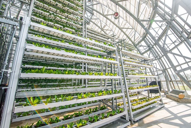 H&agrave; Nội đ&atilde; v&agrave; đang thực hiện nhiều giải ph&aacute;p nhằm tạo bước đột ph&aacute; về năng suất, chất lượng sản phẩm n&ocirc;ng nghiệp