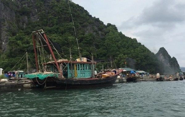 Tập huấn sử dụng thiết bị ghi nhật ký khai thác thủy sản điện tử Tập huấn sử dụng thiết bị ghi nhật ký khai thác thủy sản điện tử