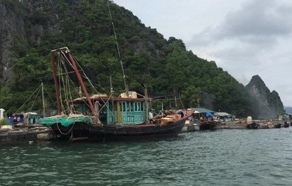 Ngư d&acirc;n sử dụng thiết bị ghi nhật k&yacute; khai th&aacute;c điện tử sẽ g&oacute;p phần chống đ&aacute;nh bắt hải sản IUU