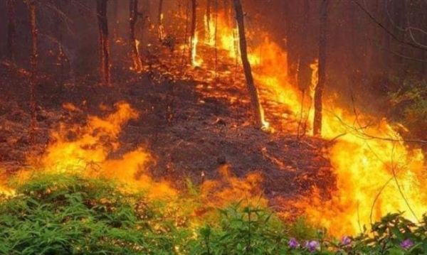 Bảo đảm phương châm “4 tại chỗ” trong công tác phòng cháy, chữa cháy rừng Bảo đảm phương châm “4 tại chỗ” trong công tác phòng cháy, chữa cháy rừng