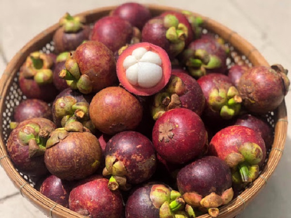 Măng Cụt T&acirc;n Quy