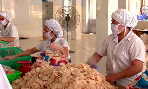 Bích Chi báo lợi nhuận tăng gấp đôi so với cùng kỳ Bích Chi báo lợi nhuận tăng gấp đôi so với cùng kỳ