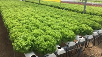 Quảng Nam khởi công xây dựng Khu phức hợp nông nghiệp công nghệ cao