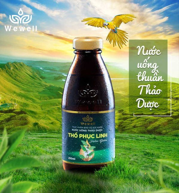Nước uống thuần thảo dược (WeWell): Bí quyết giúp cơ thể khỏe mạnh