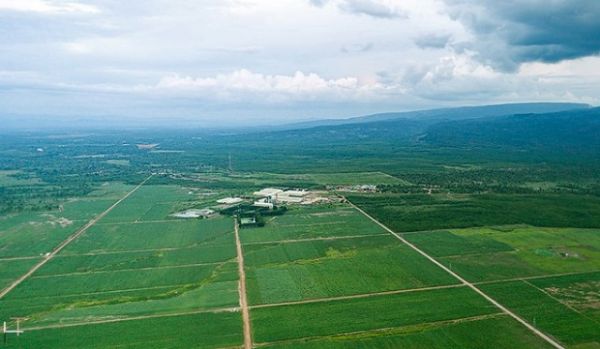 TTC Sugar tiếp tục mở rộng vùng nguyên liệu trồng mía organic tại Lào TTC Sugar tiếp tục mở rộng vùng nguyên liệu trồng mía organic tại Lào