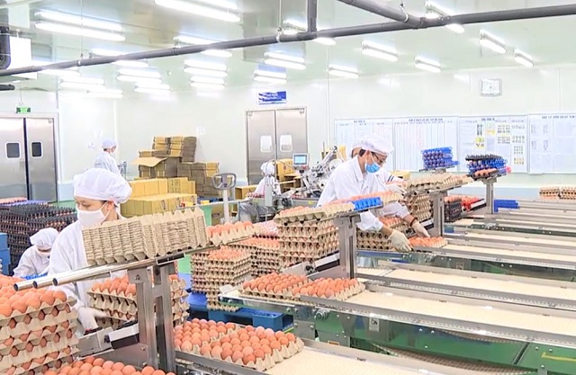 Nhiều doanh nghiệp th&agrave;nh lập v&agrave; hoạt động c&oacute; hiệu quả tại tỉnh Bắc Ninh