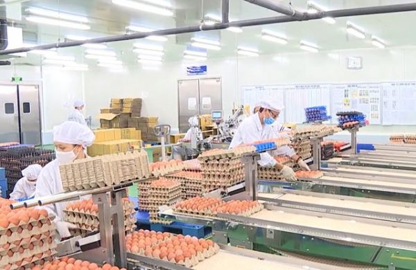 Bắc Ninh: 6 tháng đầu năm thành lập mới hơn hơn 1.100 doanh nghiệp