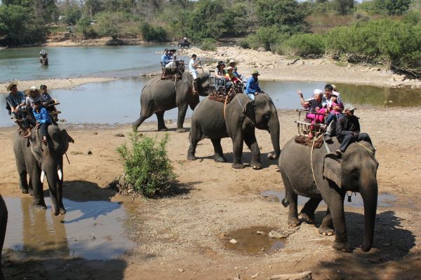 Đắk Lắk: Dừng hoạt động cưỡi voi sau sự cố 3 du khách bị ngã Đắk Lắk: Dừng hoạt động cưỡi voi sau sự cố 3 du khách bị ngã