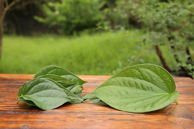 T&ugrave;y thuộc v&agrave;o từng cấp độ bệnh trĩ m&agrave; người bệnh c&oacute; thể &aacute;p dụng c&aacute;ch chữa bệnh ph&ugrave; hợp gi&uacute;p giảm nhanh c&aacute;c triệu chứng v&agrave; đẩy nhanh qu&aacute; tr&igrave;nh điều trị bệnh