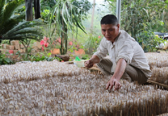 Nhiệt độ thích hợp cho sinh trưởng phát triển của tằm là từ 25 - 30 độ C. Vì vậy việc lắp điều hòa sẽ tạo điều kiện phù hợp nhất cho tằm phát triển