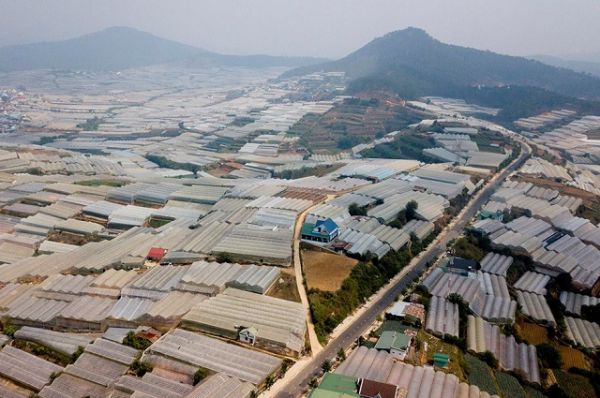 Lâm Đồng xây dựng đề án giảm thiểu tác hại của nhà kính