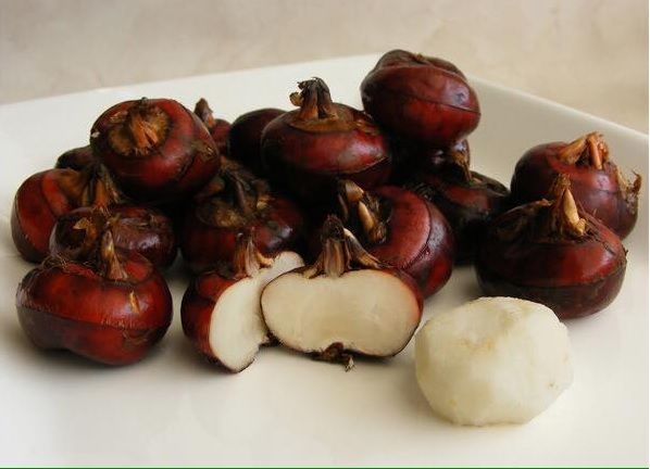 Vùng nguyên liệu: Tiềm năng từ sản xuất củ năng hữu cơ tại Lâm Đồng