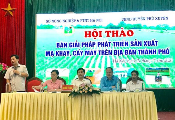 Đẩy mạnh phát triển sản xuất mạ khay, cấy máy trên địa bàn Hà Nội