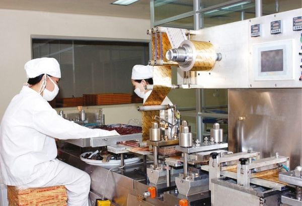 Quý II/2020: Dược Hà Tây lãi ròng giảm 21% so với cùng kỳ