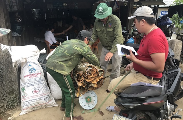 UBND tỉnh đ&atilde; ban h&agrave;nh nhiều cơ chế ch&iacute;nh s&aacute;ch ưu đ&atilde;i cho sự bảo tồn, đầu tư v&agrave; thu h&uacute;t sự đầu tư ph&aacute;t triển c&acirc;y quế