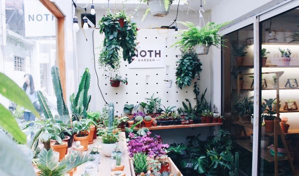 Những địa điểm check-in sống ảo tại Hà Nội: Khu tổ hợp mua sắm đẹp như phố Hàn