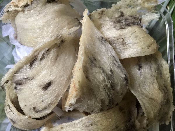 Tiền Giang: Người nuôi chậm thu hồi vốn vì giá yến sào giảm mạnh