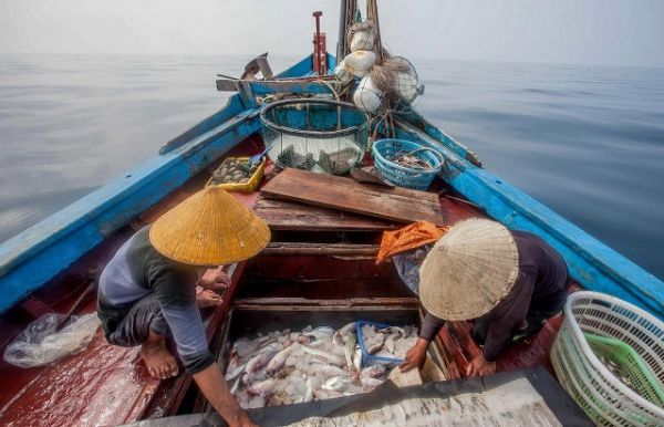 Việt Nam - Hoa  Kỳ ký kết tăng cường năng lực thực thi pháp luật thuỷ sản