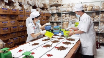 Bộ Y tế đề xuất điều kiện chế biến, bào chế dược liệu, thuốc cổ truyền