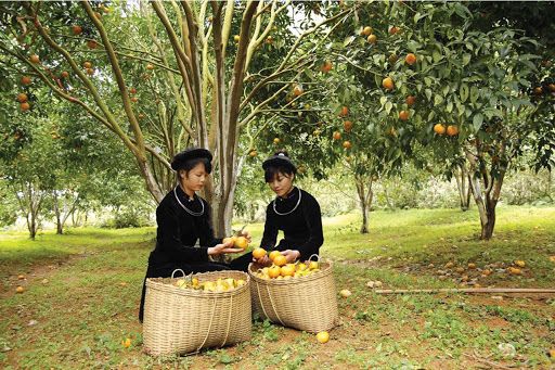 Khoa học công nghệ phục vụ phát triển bền vững vùng Tây Bắc