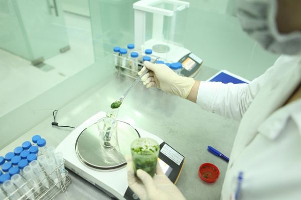 Đẩy mạnh kiểm nghiệm thuốc, mỹ phẩm, thực phẩm lưu hành trên thị trường