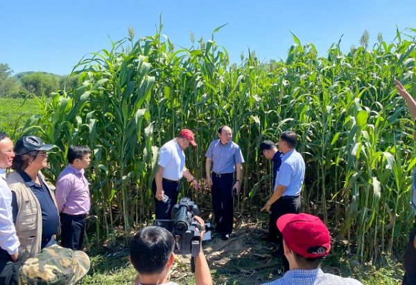 6 tháng đầu năm 2020: Cả nước thành lập mới 752 Hợp tác xã