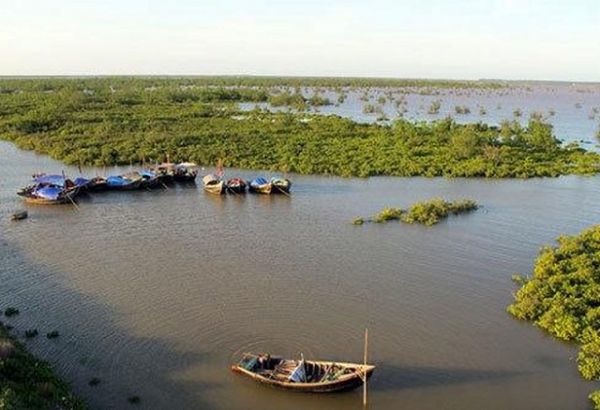 Quản lý đồng bộ, thống nhất các khu dự trữ sinh quyển tại Việt Nam