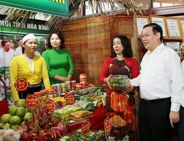 Nâng tầm sản phẩm OCOP: Kết nối giao thương, tiêu thụ sản phẩm vùng núi phía Bắc