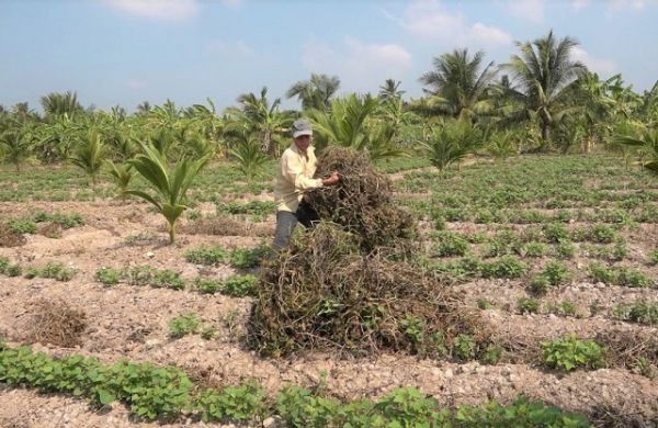 Tiền Giang: Chủ động phòng chống, ứng phó với hạn mặn vào mùa khô Tiền Giang: Chủ động phòng chống, ứng phó với hạn mặn vào mùa khô