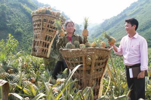 Duy trì tín dụng cho hộ nông dân nghèo là cần thiết