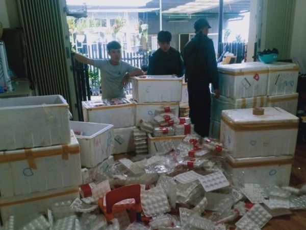 Hàng giả, hàng nhái: Phát hiện 370kg dâu tây Trung Quốc tại Đà Lạt Hàng giả, hàng nhái: Phát hiện 370kg dâu tây Trung Quốc tại Đà Lạt